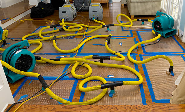 Professional Crawl Space Water Removal technician working in Miami Beach, FL